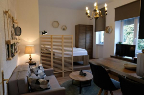 Apartment Saraga Centre 1